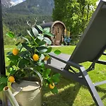 Meis Mit Bergblick Apartment