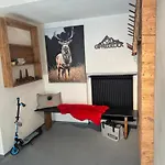 Meis Mit Bergblick Apartment Scuol