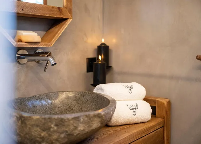 Meis Mit Bergblick Scuol