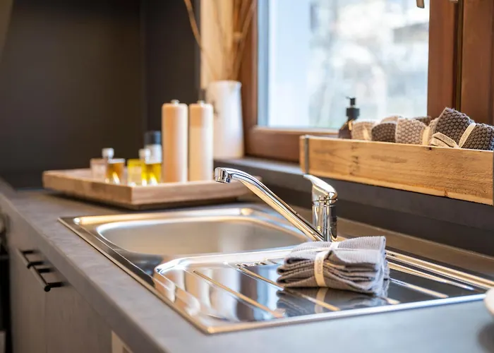 Meis Mit Bergblick Scuol