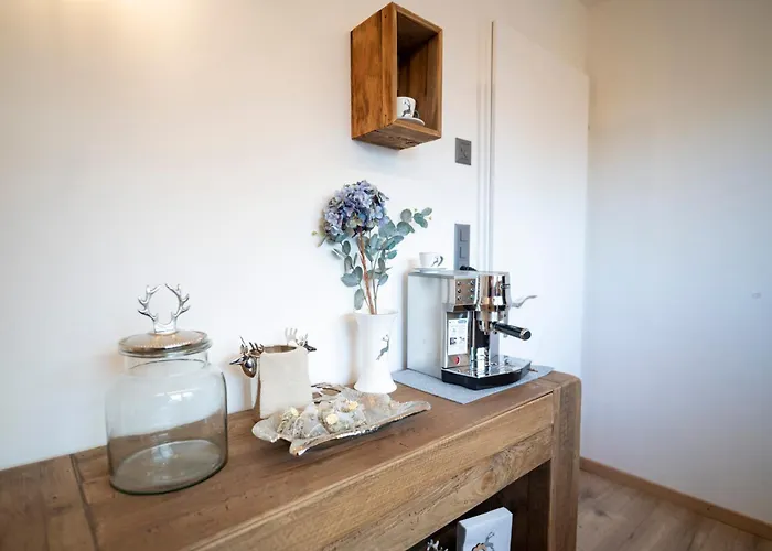 Meis Mit Bergblick Scuol