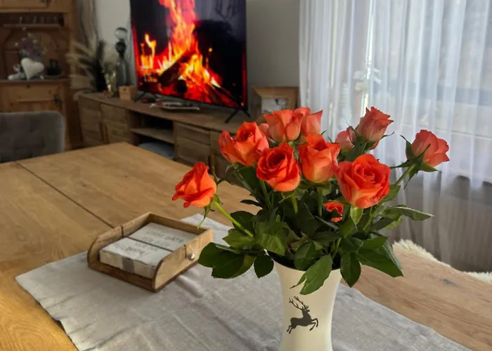 Meis Mit Bergblick Scuol