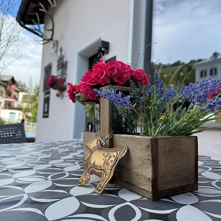 Meis Mit Bergblick Apartment *